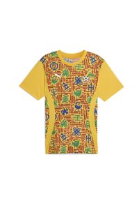 Puma - Męska koszulka przedmeczowa Ghana PUMA. Kolor: czerwony, wielokolorowy, żółty. Sport: piłka nożna #1