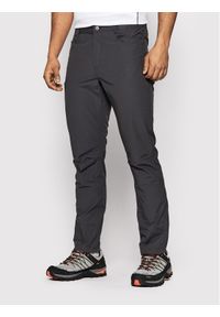 Regatta Spodnie materiałowe Delgado RMJ231R Szary Regular Fit. Kolor: szary. Materiał: syntetyk, bawełna #1