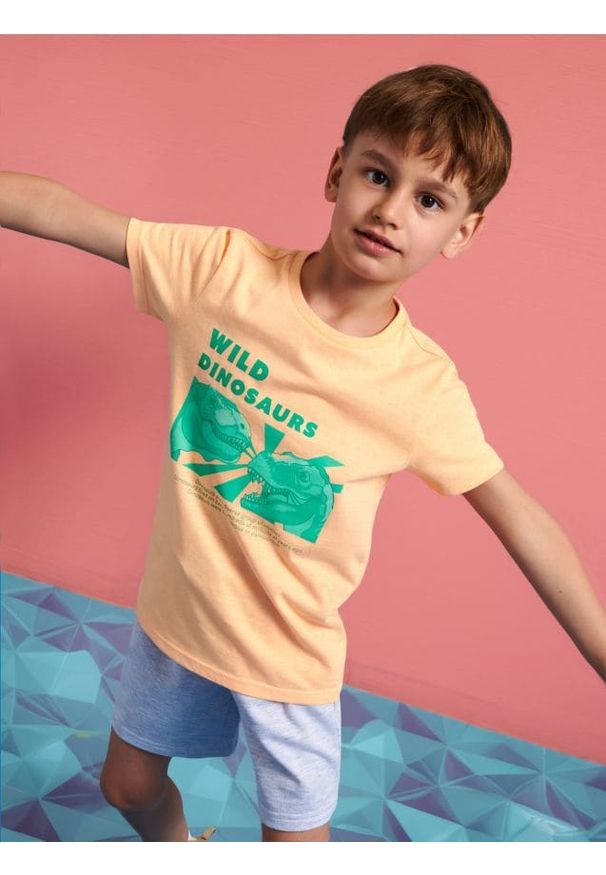 Sinsay - Koszulka z nadrukiem - pomarańczowy. Kolor: pomarańczowy. Materiał: bawełna. Wzór: nadruk