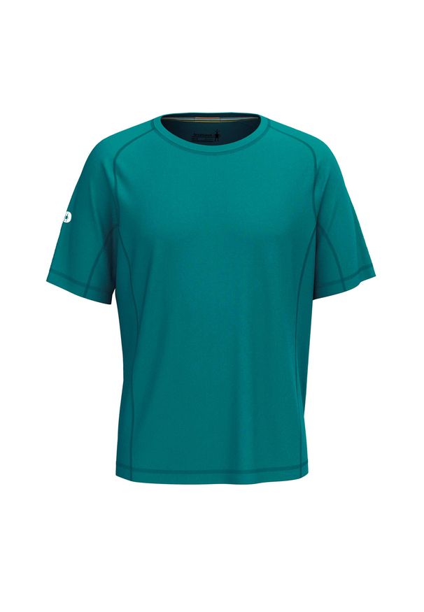 Koszulka Smartwool Active Ultralite. Kolor: zielony. Sport: turystyka piesza
