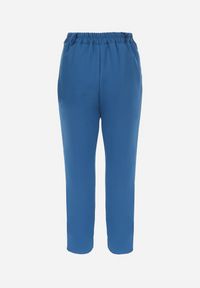 Born2be - Granatowe Spodnie Regular Fohan. Kolor: niebieski. Styl: klasyczny, elegancki #7