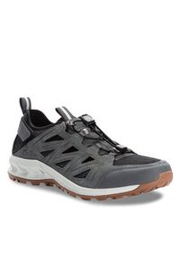Jack Wolfskin Trekkingi Woodland 2 Hybrid Low 4051301 Szary. Kolor: szary. Materiał: skóra. Sport: turystyka piesza