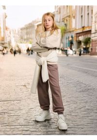 Sinsay - Spodnie dresowe - brązowy. Kolor: brązowy. Materiał: dresówka. Długość: długie #1