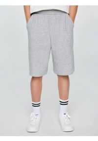 Big-Star - Szorty chłopięce dresowe szare Doner 901. Kolor: szary. Materiał: dresówka. Wzór: haft. Styl: klasyczny, sportowy #1
