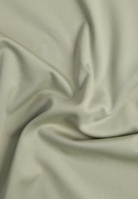 Born2be - Jasnozielony Gładki T-shirt o Klasycznym Kroju Lycoris. Okazja: do domu, do pracy, na co dzień. Kolor: zielony. Materiał: jeans. Wzór: gładki. Styl: klasyczny #2