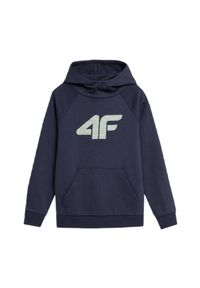 4f - Bluza Dziecięca 4F. Kolor: niebieski #1
