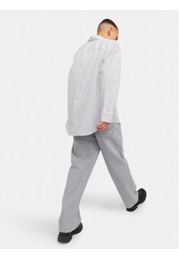 Jack & Jones Jeansy Alex 12249060 Szary Baggy Fit. Kolor: szary