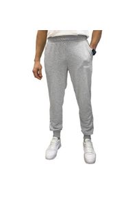 Puma - Spodnie Do Joggingu Męskie Logo ESS. Kolor: szary. Materiał: dresówka. Sport: bieganie