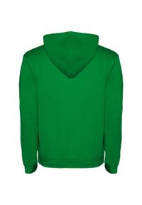 ROLY - Bluza Z Kapturem Dla Dzieci/dzieci Urban Drawstring Hoodie. Typ kołnierza: kaptur. Kolor: biały, wielokolorowy, zielony