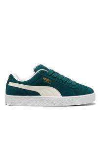 Buty do chodzenia damskie Puma Suede Xl. Zapięcie: sznurówki. Kolor: zielony. Materiał: materiał, zamsz. Szerokość cholewki: normalna. Model: Puma Suede. Sport: turystyka piesza