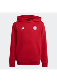 Adidas - Bluza piłkarska z kapturem dla dzieci ADIDAS FC Bayern 25/26. Typ kołnierza: kaptur. Sport: piłka nożna