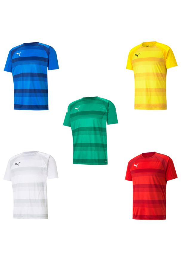 Jersey Puma Team Vision. Kolor: biały. Materiał: jersey. Sport: piłka nożna