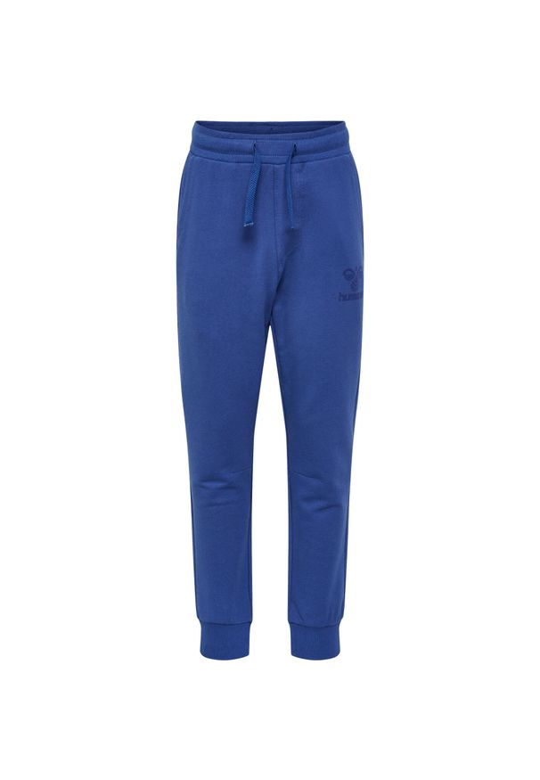 Spodnie dresowe dla dzieci Hummel Fastwo. Kolor: niebieski. Materiał: dresówka. Sport: joga i pilates, bieganie
