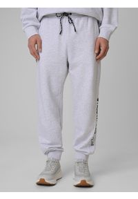 4f - 4F Spodnie dresowe joggery męskie - szare L. Kolor: szary. Materiał: dresówka. Sport: fitness #2