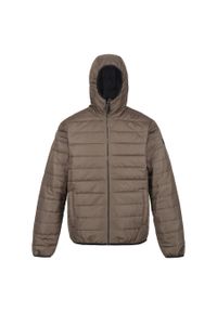 Regatta - Kurtka turystyczna przejściowa męska Helfa z kapturem. Typ kołnierza: kaptur. Kolor: brązowy. Materiał: poliester. Sport: turystyka piesza #1