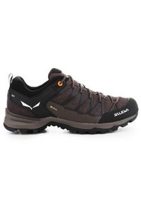 Buty trekkingowe męskie Salewa Mtn Trainer Lite Gtx. Zapięcie: sznurówki. Kolor: brązowy, czarny, wielokolorowy. Materiał: syntetyk, tkanina, materiał. Szerokość cholewki: normalna