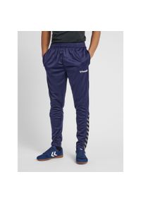 Spodnie Hummel hmlAUTHENTIC Training. Kolor: niebieski. Sport: piłka nożna #1