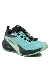 salomon - Salomon Buty do biegania Sense Ride 5 Gore-Tex L47216000 Niebieski. Kolor: niebieski. Materiał: materiał. Technologia: Gore-Tex #6