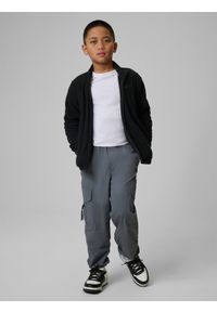 4f - 4F Polar regular bez kaptura chłopięcy - czarny 164 (13-14 lat). Typ kołnierza: bez kaptura. Kolor: czarny. Materiał: polar. Sezon: lato. Sport: wspinaczka, turystyka piesza #2