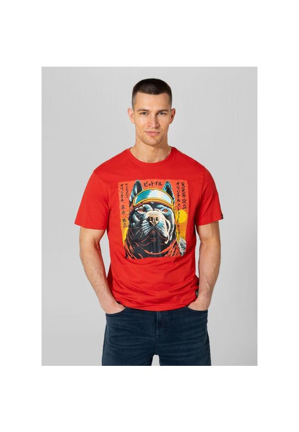 PITBULL - Koszulka męska Pitbull Fuji. Kolor: czerwony, wielokolorowy, pomarańczowy. Sport: turystyka piesza