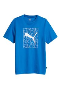 Koszulka fitness męska Puma Graphics Cat Tee. Kolor: niebieski. Sport: fitness