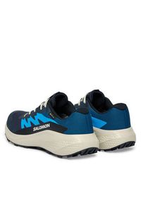 salomon - Salomon Buty do biegania Alphaglide Gtx L47975100 Niebieski. Kolor: niebieski. Materiał: materiał #3