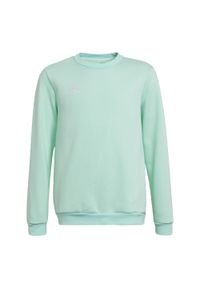Adidas - Entrada 22 Sweat Top. Kolor: zielony. Materiał: materiał. Sport: piłka nożna