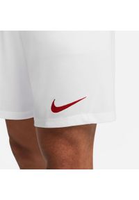 Spodnie treningowe męskie Nike Park Iii. Kolor: biały. Długość: krótkie