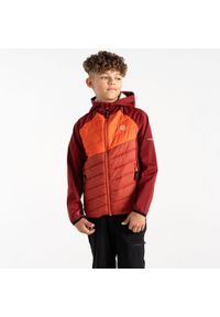 DARE 2B - Kurtka hybrydowa dziecięca Explore. Kolor: pomarańczowy. Materiał: tkanina, softshell #1