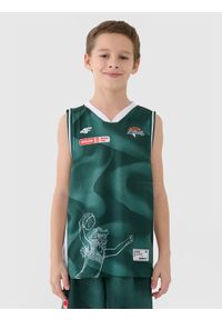 4f - 4F Koszulka meczowa replika wyjazdowa z sezonu 2024/25 dziecięca 4F x PLK - Zastal Zielona Góra - multikolor 110/116. Typ kołnierza: dekolt w serek. Kolor: wielokolorowy. Materiał: dzianina, włókno, materiał, syntetyk. Wzór: gładki, nadruk, ze splotem. Sezon: lato. Sport: koszykówka, fitness