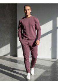 Sinsay - Bluza crewneck z domieszką bawełny - fioletowy. Kolor: fioletowy. Materiał: bawełna #1