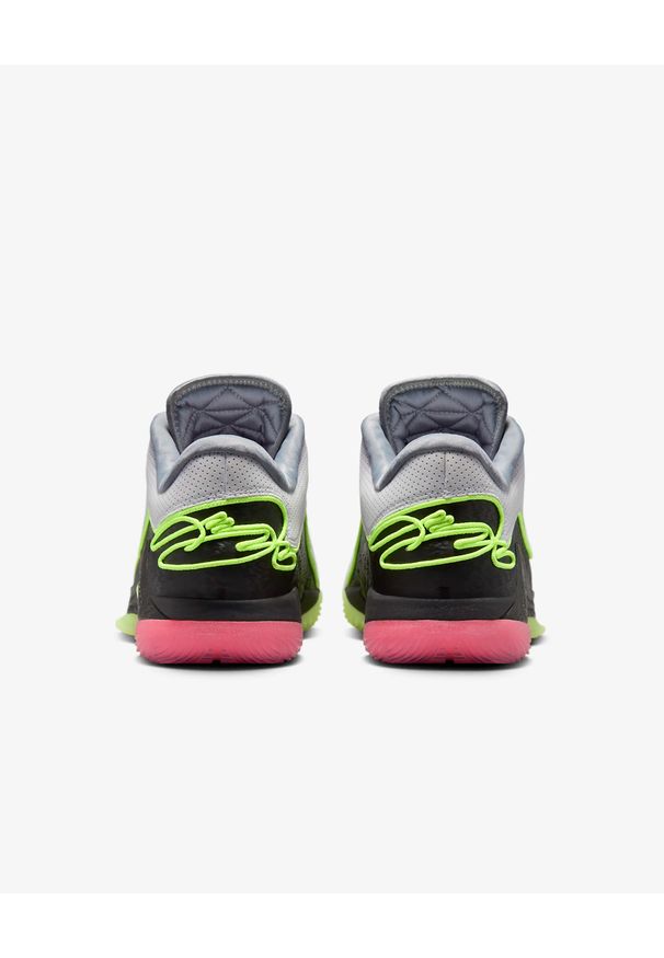 Nike LeBron XXII „Crown Jewel” Buty męskie do koszykówki. Materiał: materiał. Szerokość cholewki: normalna. Model: Nike Zoom. Sport: koszykówka