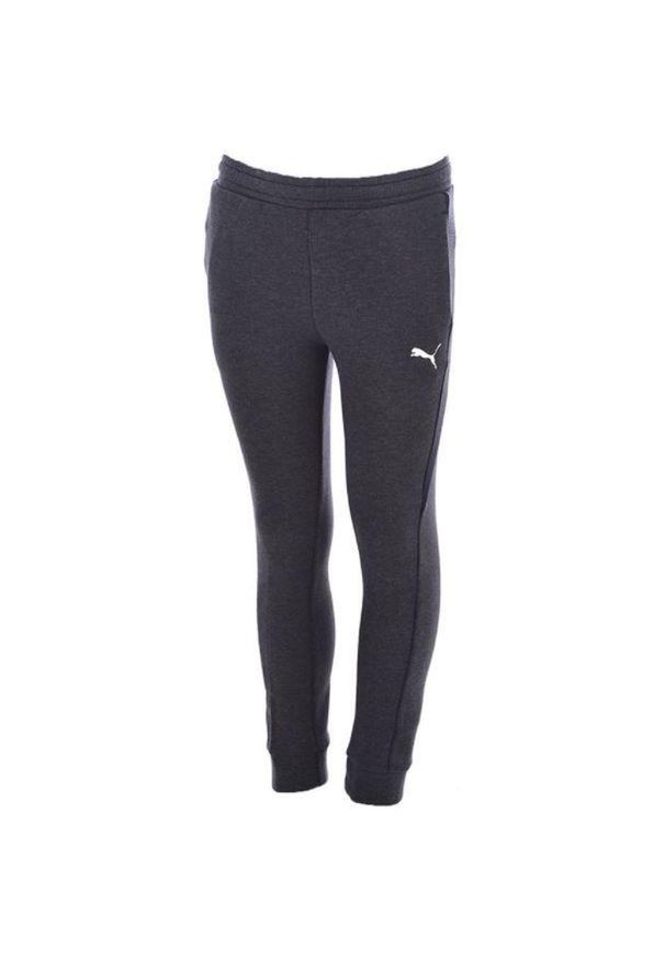 Dziecięce spodnie treningowe Puma - Komfort i styl. Kolor: szary. Materiał: dresówka, bawełna