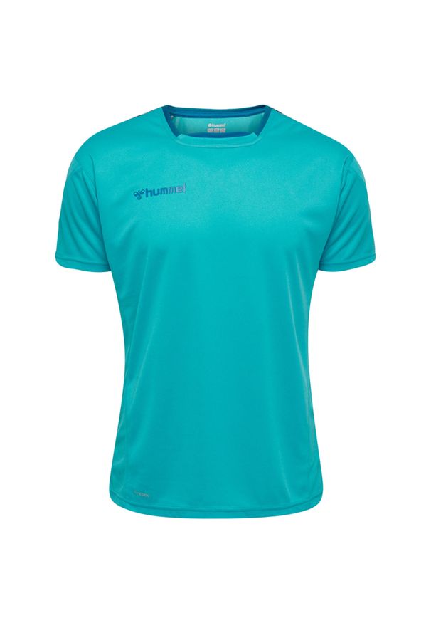 Jersey Hummel enfant hmlAUTHENTIC Poly HML. Kolor: fioletowy, zielony, wielokolorowy. Materiał: jersey. Sport: piłka nożna