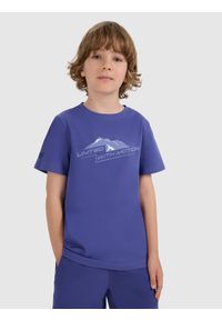 4f - 4F T-shirt regular z nadrukiem chłopięcy - granatowy 158 (12-13 lat). Okazja: na co dzień, na uczelnię. Kolor: niebieski. Materiał: materiał, dresówka, bawełna, skóra, jeans. Wzór: nadruk. Sezon: lato. Styl: casual, klasyczny #1
