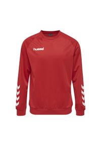 Bluza do piłki ręcznej dla dzieci Hummel Promo Kids Poly Sweatshirt. Kolor: czerwony, wielokolorowy, różowy. Sport: piłka ręczna #1