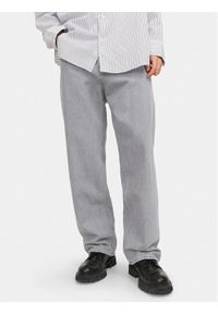 Jack & Jones - Jack&Jones Jeansy Alex 12249060 Szary Baggy Fit. Kolor: szary