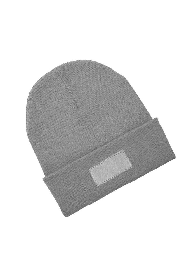 STAMINA - Bulnes Beanie. Kolor: szary