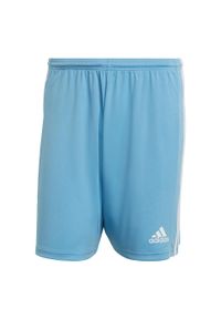 Adidas - Spodenki piłkarskie męskie adidas Squadra 21 Short. Kolor: niebieski. Sport: piłka nożna