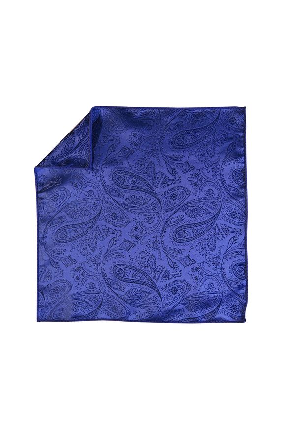 Modini - Niebieska poszetka we wzór paisley EC2. Kolor: niebieski. Materiał: żakard, tkanina. Wzór: paisley