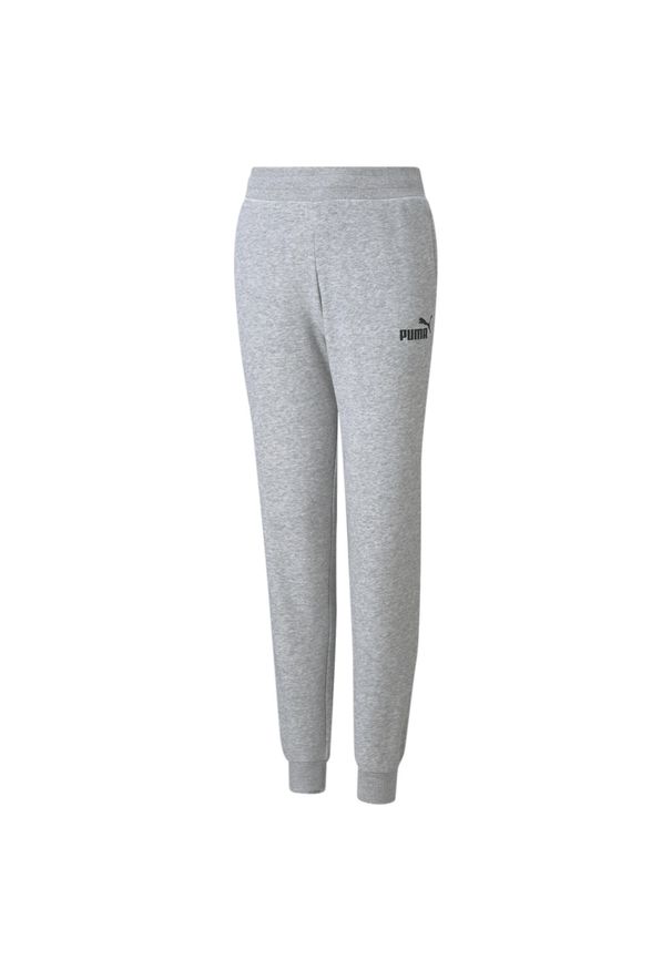 Spodnie treningowe dla dzieci Puma ESS Sweatpants TR. Kolor: szary. Sport: joga i pilates