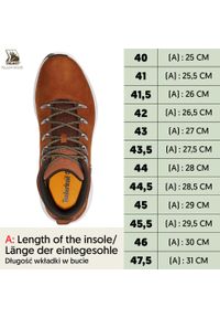 Trzewiki Timberland Bradstreet Chukka Leather ze skóry naturalnej. Kolor: wielokolorowy. Materiał: skóra