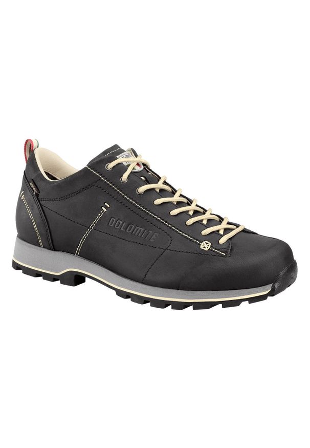 Buty trekkingowe męskie Dolomite Cinquantaquattro Low FG GTX. Kolor: wielokolorowy, czarny