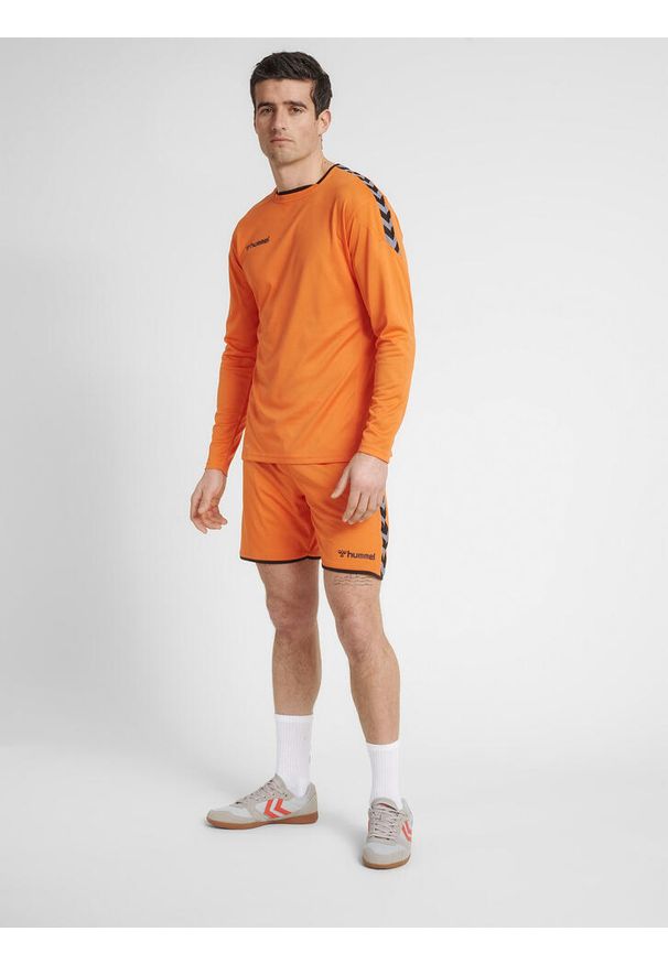 Jersey Hummel manches longues hmlAUTHENTIC Poly. Kolor: wielokolorowy, pomarańczowy, czarny. Materiał: jersey. Długość rękawa: długi rękaw. Długość: długie