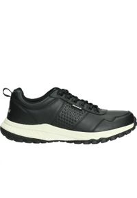 Campus Buty Trekkingowe Męskie Czarny 44. Kolor: czarny