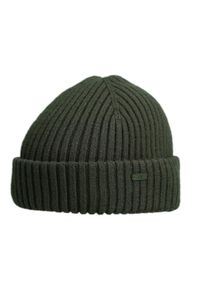 4f - Czapka Męska 4F. Kolor: zielony #1