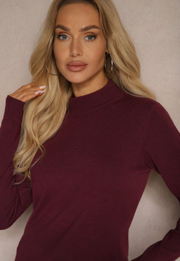 Renee - Ciemnofioletowy Półgolf o Klasycznym Fasonie z Kaszmirem i Wiskozą Zailana. Okazja: na spotkanie biznesowe, na randkę, do pracy. Kolor: fioletowy. Materiał: wiskoza, kaszmir. Długość rękawa: długi rękaw. Długość: długie. Wzór: aplikacja. Styl: klasyczny