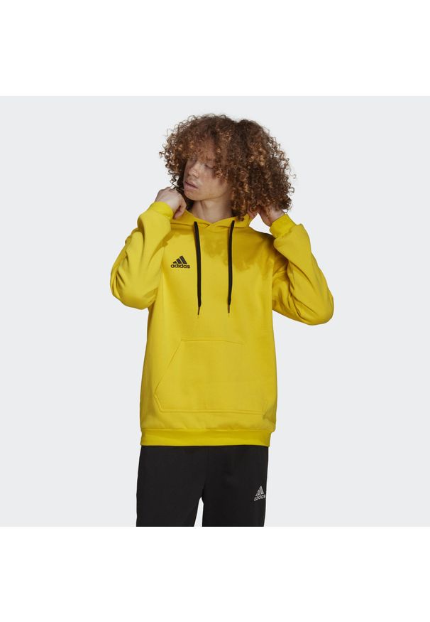 Bluza do piłki nożnej męska Adidas Entrada 22. Kolor: wielokolorowy, czarny, żółty. Materiał: bawełna, poliester