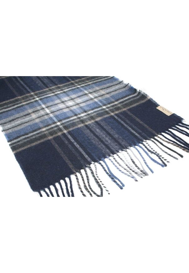 Wełniany Szalik Męski - V. Fraas - Niebieski i Granat, Kratka. Kolor: niebieski. Materiał: wełna. Wzór: kratka. Sezon: zima, lato. Styl: elegancki, klasyczny