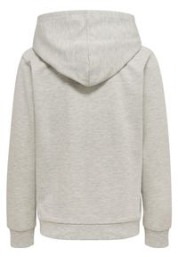 Bluza z kapturem dla dzieci Hummel Fast. Typ kołnierza: kaptur. Kolor: szary